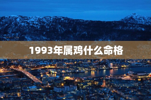1993年属鸡什么命格