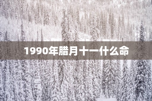 1990年腊月十一什么命