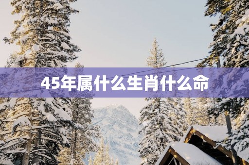 45年属什么生肖什么命