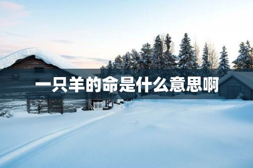 一只羊的命是什么意思啊
