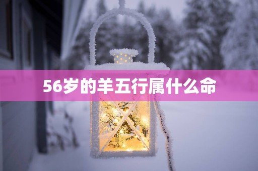 56岁的羊五行属什么命