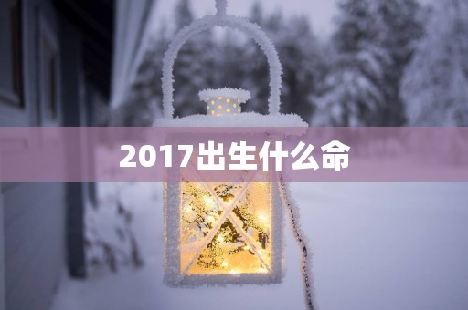 2017出生什么命