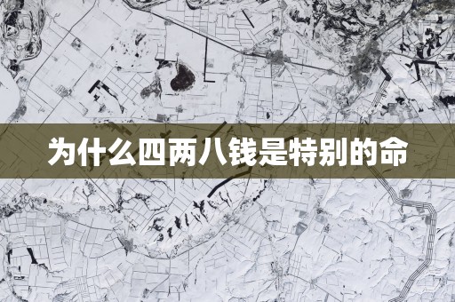为什么四两八钱是特别的命