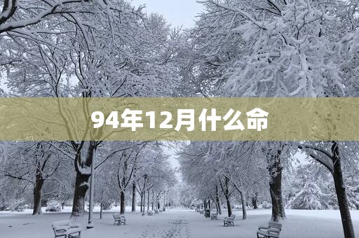 94年12月什么命