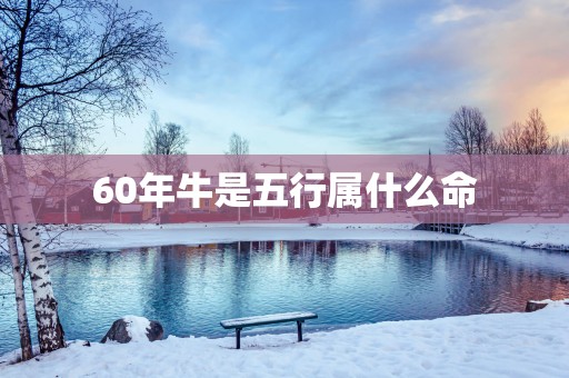 60年牛是五行属什么命