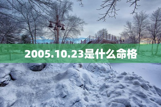 2005.10.23是什么命格