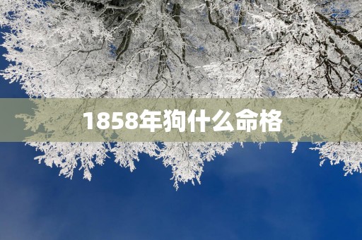 1858年狗什么命格