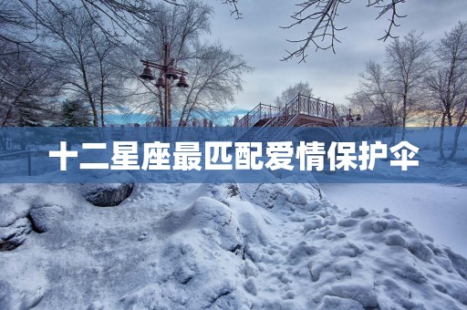 十二星座最匹配爱情保护伞