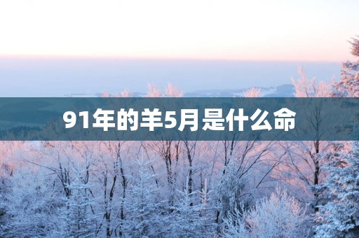 91年的羊5月是什么命