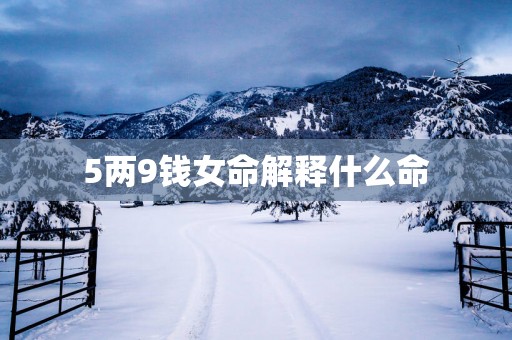 5两9钱女命解释什么命