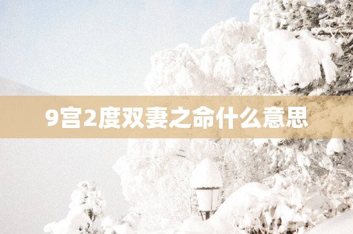 9宫2度双妻之命什么意思