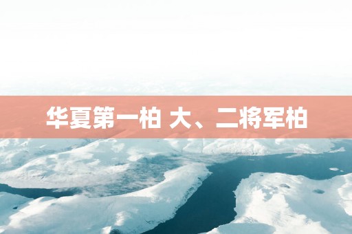 华夏第一柏 大、二将军柏