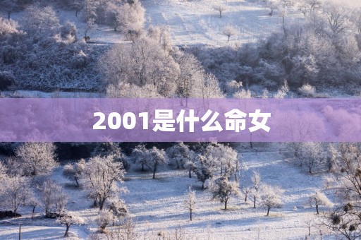 2001是什么命女