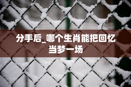 分手后_哪个生肖能把回忆当梦一场