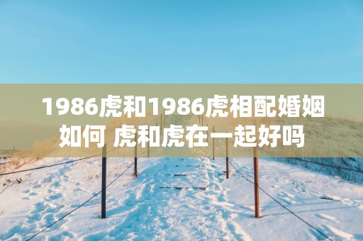 1986虎和1986虎相配婚姻如何 虎和虎在一起好吗
