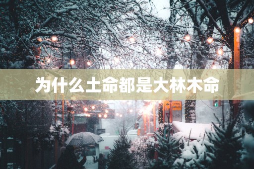 为什么土命都是大林木命
