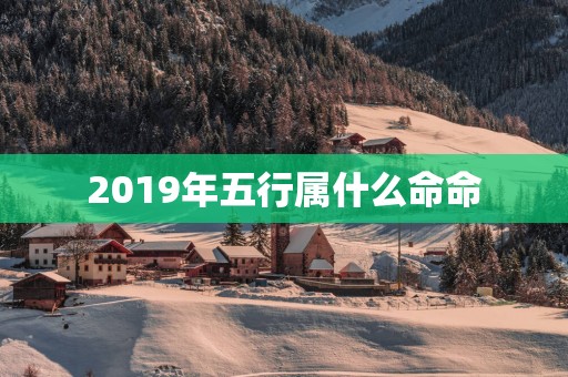 2019年五行属什么命命
