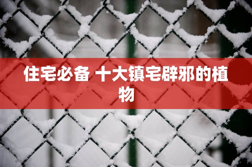 住宅必备 十大镇宅辟邪的植物