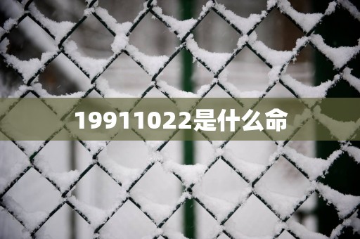 19911022是什么命