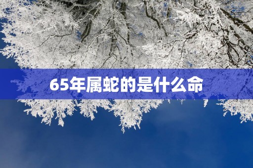 65年属蛇的是什么命