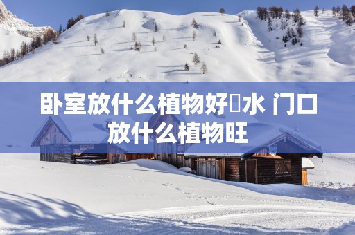 卧室放什么植物好風水 门口放什么植物旺