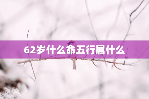 62岁什么命五行属什么