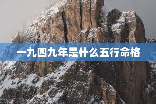 一九四九年是什么五行命格