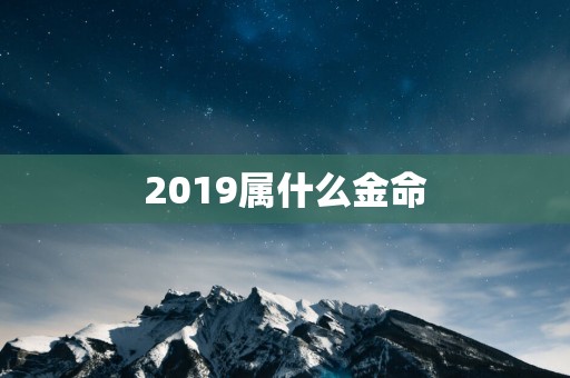 2019属什么金命