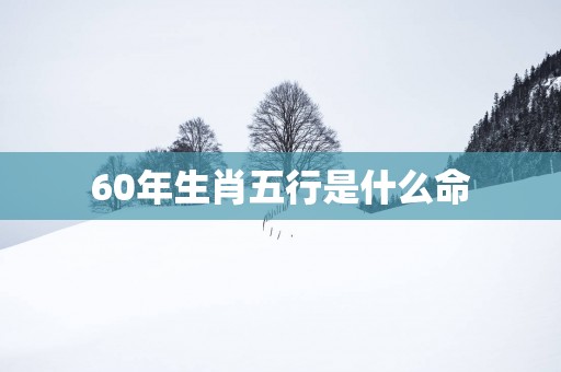 60年生肖五行是什么命
