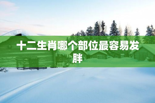 十二生肖哪个部位最容易发胖 十二生肖哪个部位最容易发胖