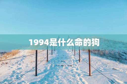 1994是什么命的狗