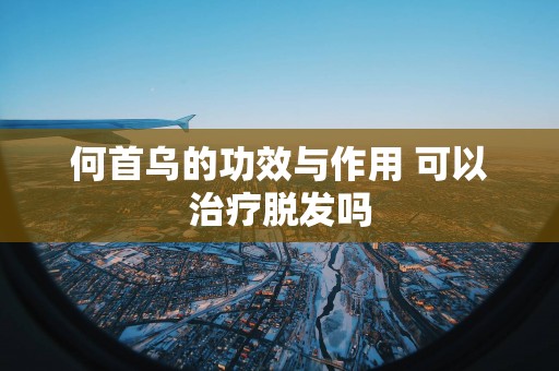 何首乌的功效与作用 可以治疗脱发吗