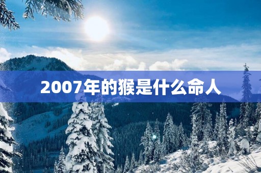 2007年的猴是什么命人