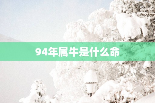 94年属牛是什么命
