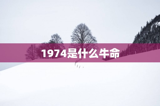 1974是什么牛命