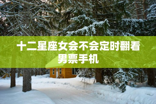 十二星座女会不会定时翻看男票手机