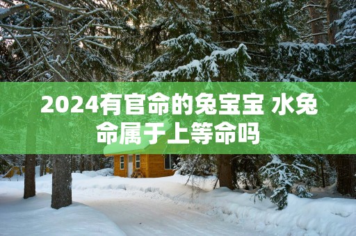 2025有官命的兔宝宝 水兔命属于上等命吗