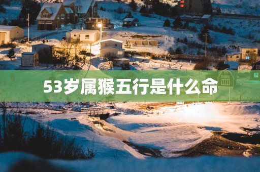 53岁属猴五行是什么命