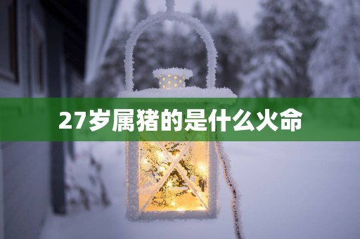 27岁属猪的是什么火命