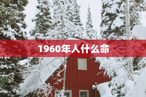 1960年人什么命