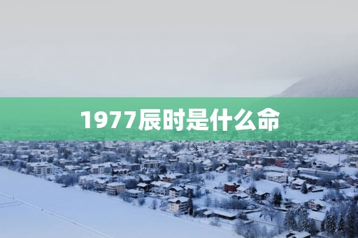 1977辰时是什么命