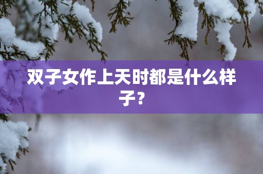 双子女作上天时都是什么样子？