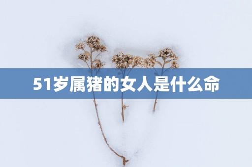51岁属猪的女人是什么命