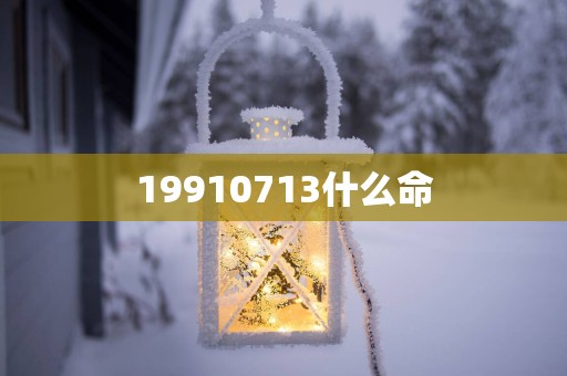19910713什么命