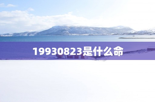 19930823是什么命