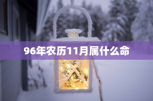 96年农历11月属什么命