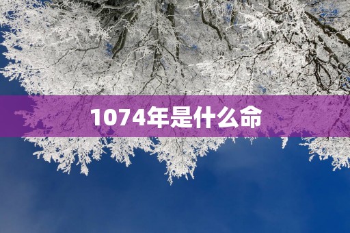 1074年是什么命