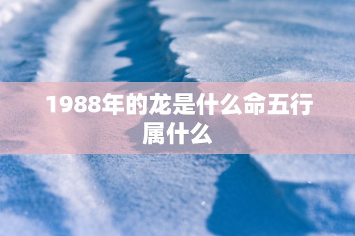 1988年的龙是什么命五行属什么