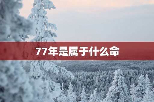 77年是属于什么命