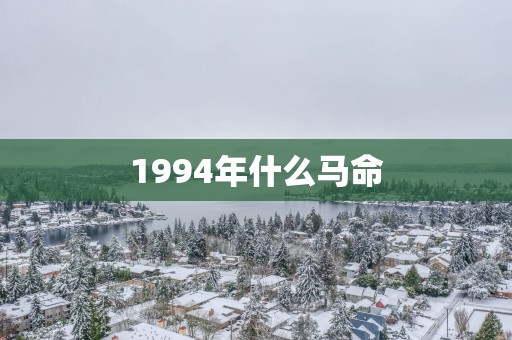 1994年什么马命